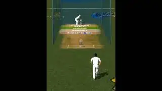 🤪Craziest and funniest🤪 wicket ever in wcc3 || #wcc3 #ipl2022 #net practice.....