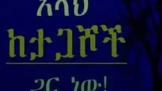 #አለህ ካታጊሾች# ጋ ናዉ !