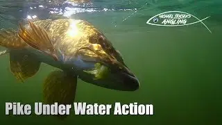 Fur Strip Jig vs Pike - a spring day on the lake