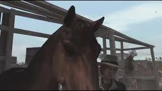 Red Dead Redemption Story