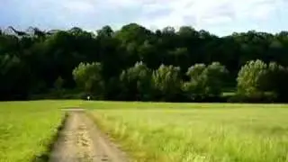 Arfurt (Standort: Wiese &uuml;ber Radweg im Lahntal)