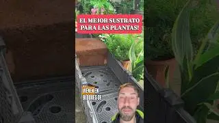 Este Sustrato MULTIPLICA x4 su Tama&ntilde;o🥥
