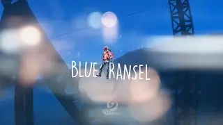 Blueransel Intro & Bumper 2016 - 2017