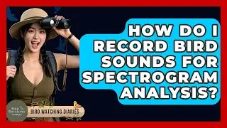 How Do I Record Bird Sounds For Spectrogram Analysis? - Bird Watching Diaries