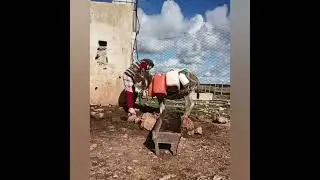 مرحبا بيكم نجيبوا لما من لبير🥰الله يرحمنا ويفرجها على الجميع