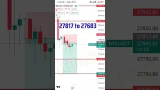 BITCOIN Support Breakdown and Scalping start😍 || 31st March/2023 || SC Trader