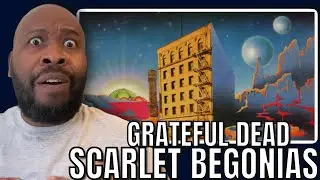First Time Hearing | Grateful Dead - Scarlet Begonias Reaction