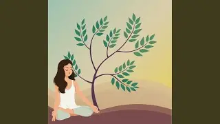 Sleep Appreciation Meditation
