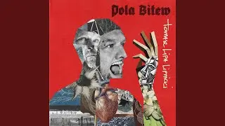Pola Bitew