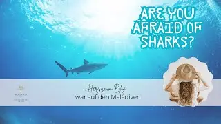 Snorkeling at Riu Maldives (Palace & Atoll) &ndash; Manta Ray & Reef Shark direkt am Strand