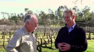 Landmark Vineyards Grower Video: Lorenzo Vineyard