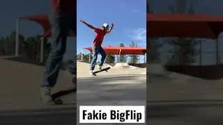 Fakie BigFlip