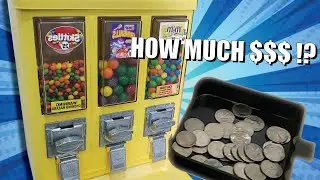 Collection Day from single Bulk Candy Machine