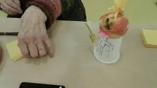 Apple rock