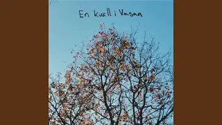 En kv&auml;ll i Vasan