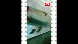 HOW IS IT MY BETA FISH 🐠 FIGHTER FULL MOON FISH (எப்படி இருக்கிறது)