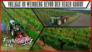 FarmVlog 🚜 `114´ - Vollgas im Weinberg - [Eschenauer] - [HD/2K]