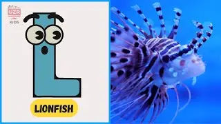 A to Z Underwater Adventure 🌊 | Fun ABC Song for Kids! 🎶🐠 | #abcd #kids