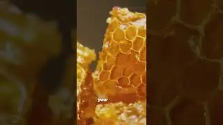 why honey is so long lasting