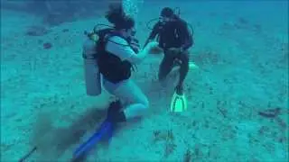 Plane Wreck Dive