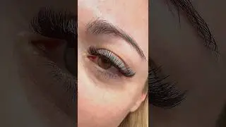 The perfect 3D Volume Set 😍😮&zwj;💨 #eyelashextensions #volumelashes #perfectlashes