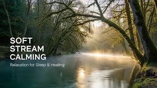 Natural Forest Ambience with Relaxing Water Flow for Study Meditation Inner Peace and Stress Relief