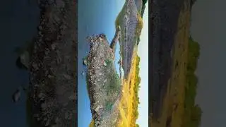 Wakaner River Fishing Video🎥 #wakaner #riverfishing #fishinglife #fishingtips