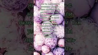 ,#shurts ,#рек ,#рекомендации ,#топ ,#сильныесловасосмыслом ,#пожеланиедлядрузей
