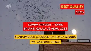 SP ANTI GALAU TWB VS AKAU 2014