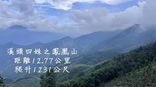 溪頭四姝之鳳凰山  小百岳#53 不敢再挑戰第二次