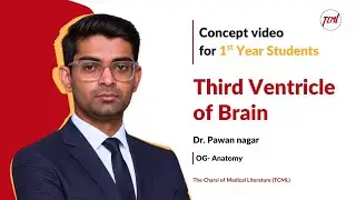Third ventricle anatomy 3d | Neuroanatomy | Dr Pawan nagar