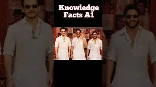 Agent movie Review|Akhil Akkineni,  Surendra Reddy south indian bank share latest news #shorts