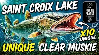 Как поймать уникального прозрачного маскинга на озере Сент-Круа &mdash; Fishing Planet