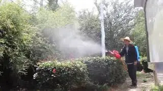 Electric Sprayer Agricultural Portable Mist Machine Blower Type Sprayer High Pressure Nozzle