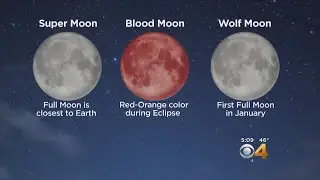 Super Wolf Blood Moon: What You Need To Know