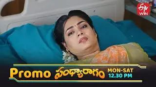 Sandya Ragam Latest Promo | Episode No 194 | 9th January 2026 | ETV Telugu