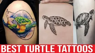 TOP 25 Best Ultimate Turtle Tattoo design