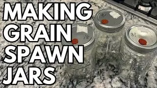 DIY Mushroom Grain Spawn Jars - THE EASY WAY