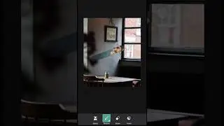 NSB Pictures | NSB Picture Photo Editing| Neeraj Sharma | #shorts #youtubeshorts #editing #trends