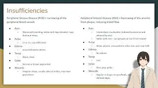 New Grad RN Explains: Peripheral Arterial vs Venous Disease Made Simple