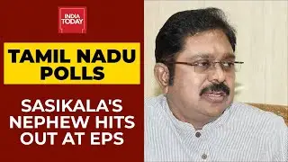 Tamil Nadu Polls: Sasikala's Nephew Slams CM Palaniswami, Says AIADMK Will Be Retrieved Soon