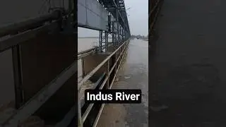 Indus river flood at kotri birage #indusriver #river #shorts