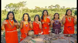 Nature-inspired jewellery that helps preserve the Amazon Rainforest 🌳
