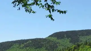 0057 maine places evans notch rt 113 white mts national forest