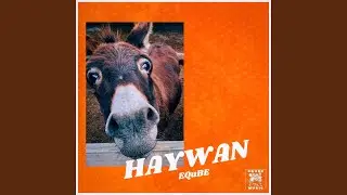 HAYWAN