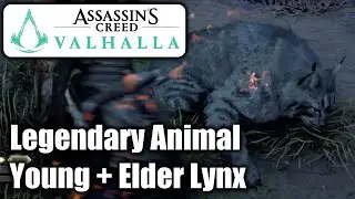 Assassin's Creed Valhalla &ndash; Legendary Animal Elder Lynx + Young Lynx
