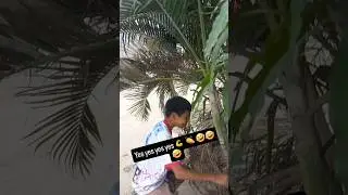 se  lo llevaron a  maduro 😂 #viral #humor #yosoydelos7mil #challenge #ecuador #todoelmundo todoelmu