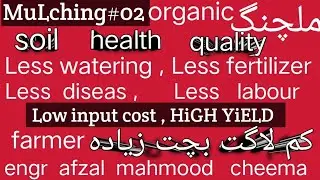 organic mulching soil healing ,high yield,low input costs,more profit@MittranAgriconsultancy