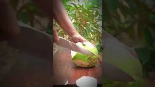 Уникальный фрукт - фантастический стиль очистки, удовлетворяющий, asmr, с проектом grooh