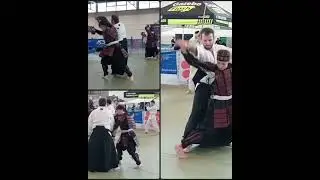 Demo di Daito Ryu Aiki Jujutsu  #armaturagiapponese #armigiapponesi  #artimarzialigiapponesi